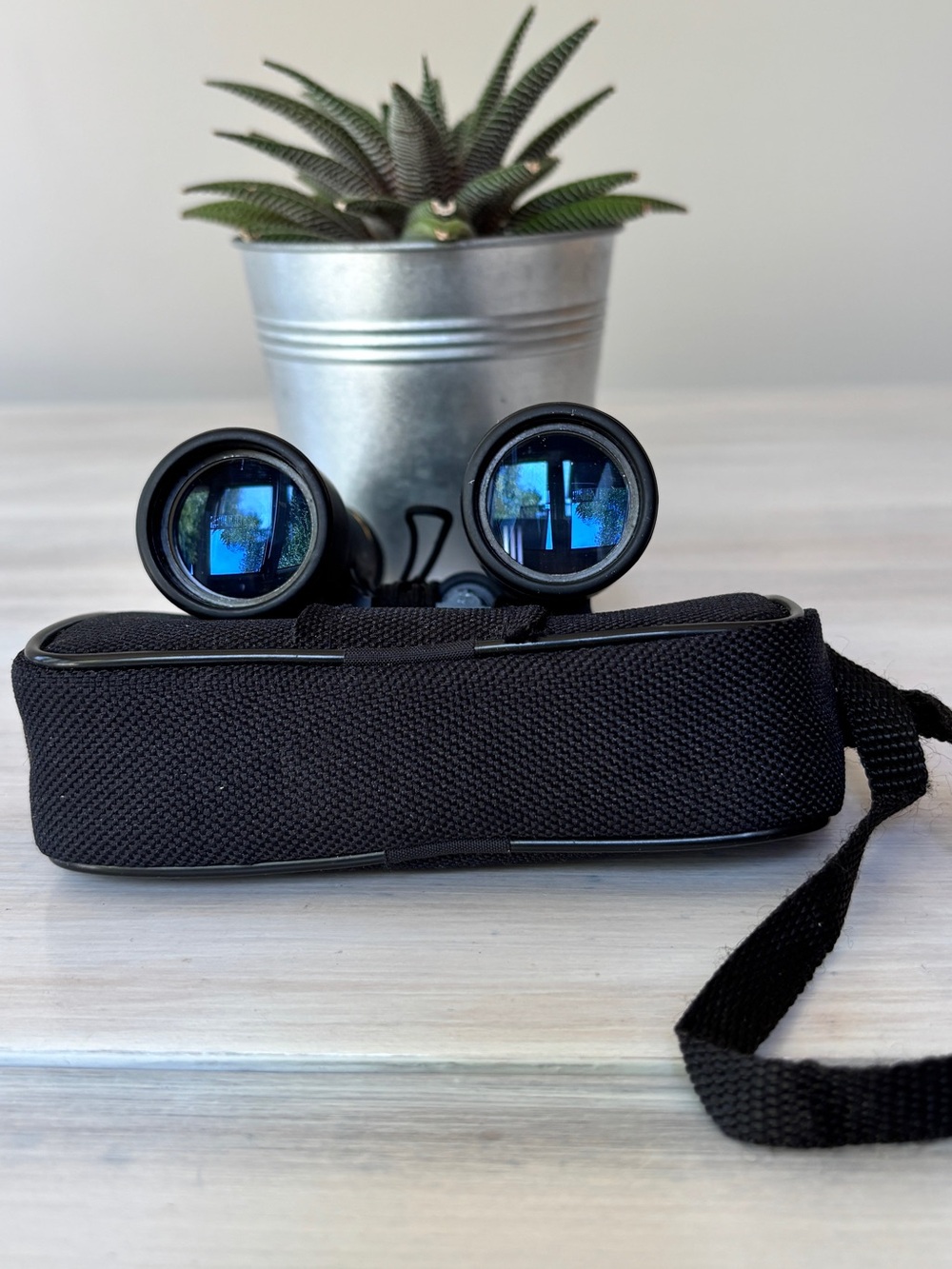 Tasco Sonoma 10x25 Compact Binoculars. Fully Coated Optics with Case & Cloth